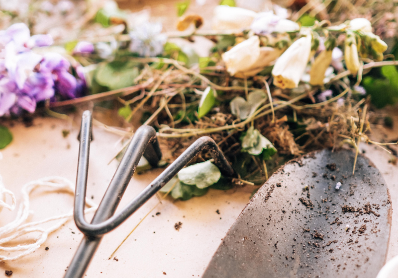 gardening for beginners