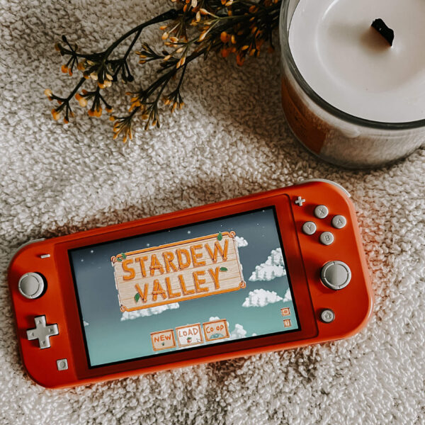 Stardew Valley Is The Ultimate Cozy Game