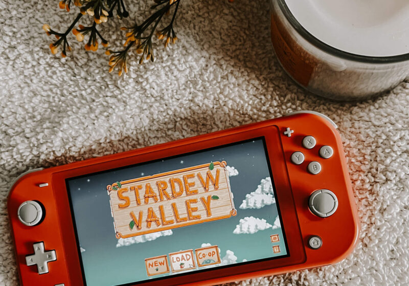 Stardew Valley