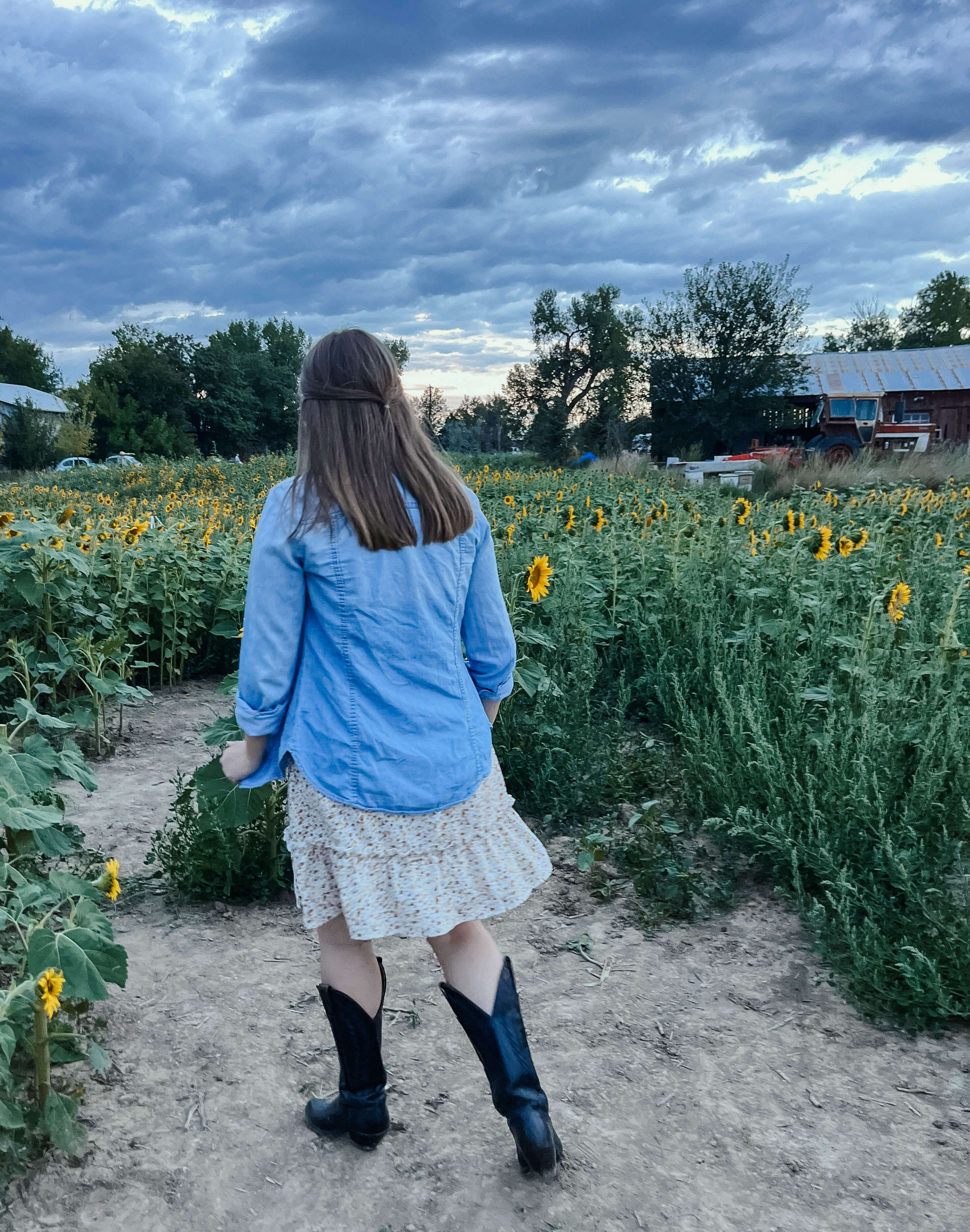 sunflower photoshoot outfit ideas