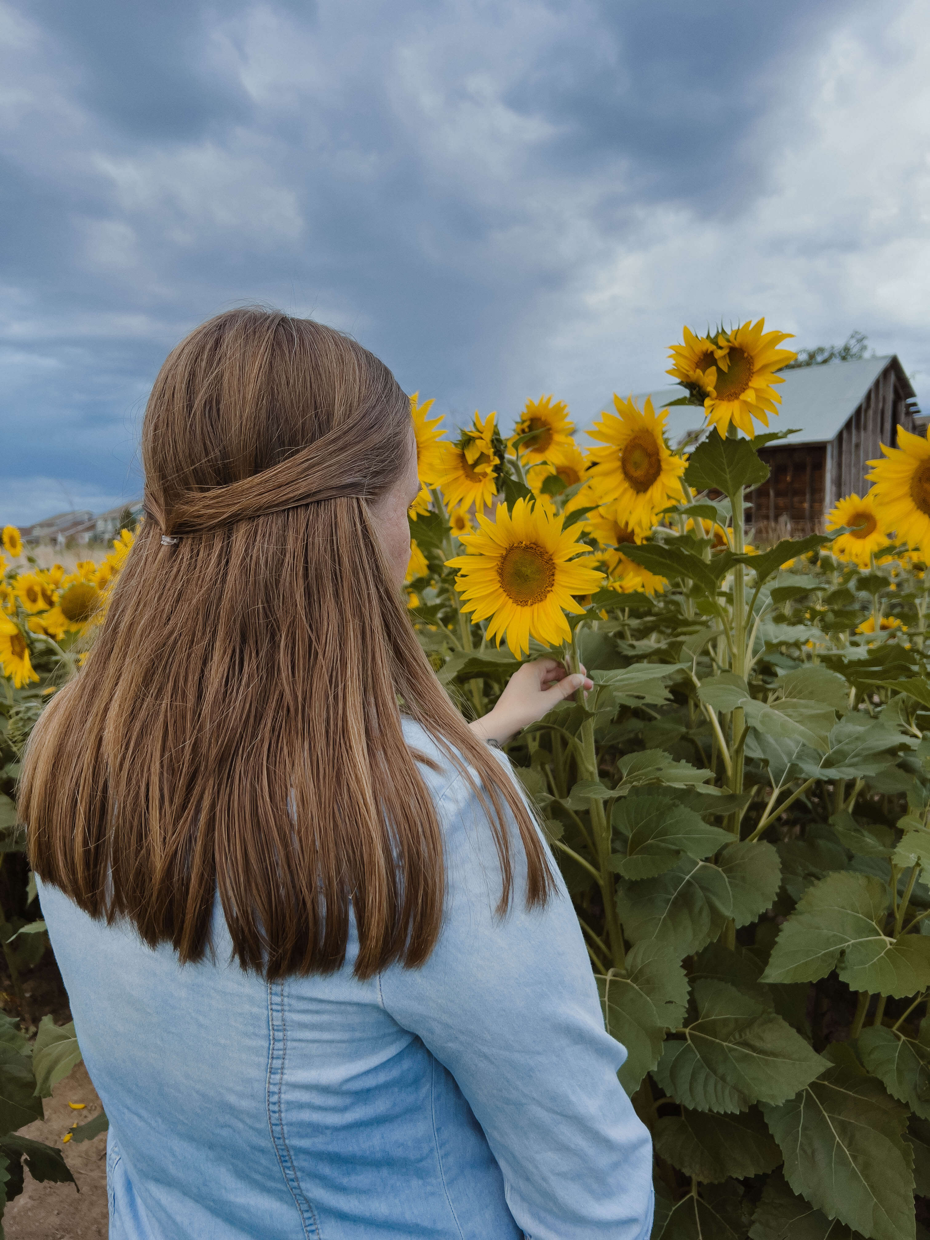 sunflower photoshoot poses