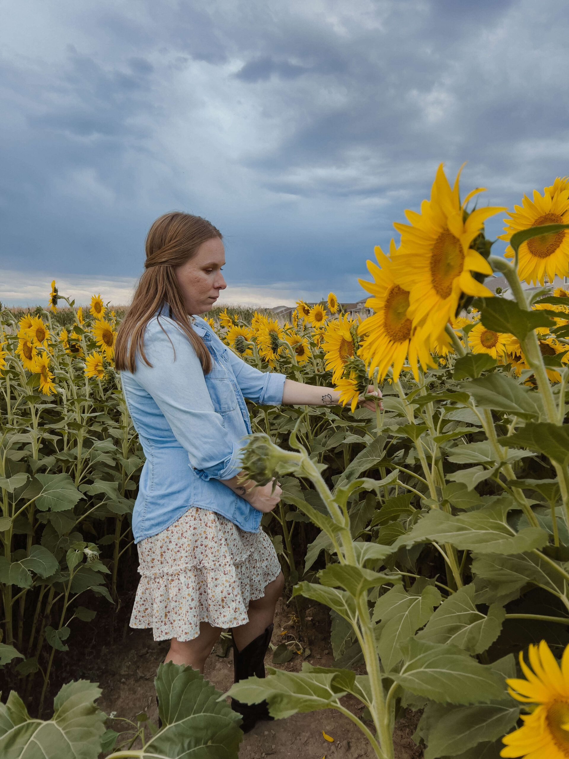 Easy Sunflower Photoshoot Ideas and Tips To Take The Best Photos